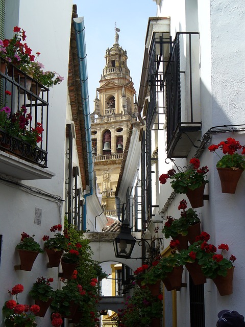 visitar la Mezquita y Judería de Córdoba